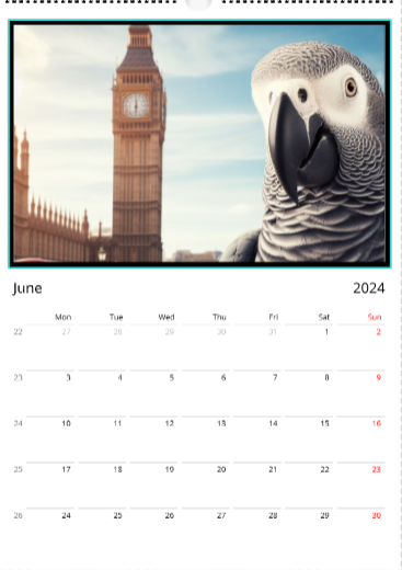 --- Calendrier mural 2024 Parrot's Travel Edition