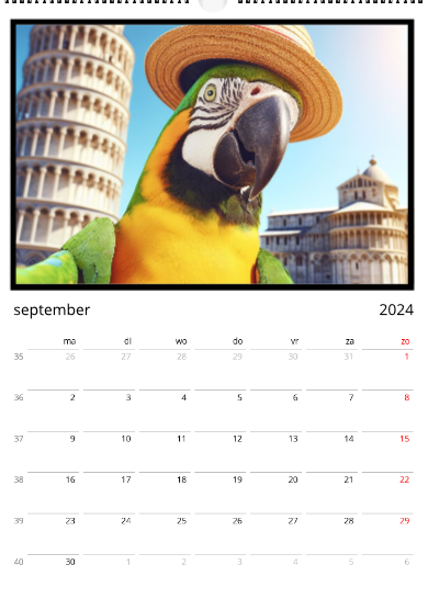 Wall calendar 2024 Parrot's Travel Edition